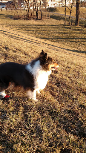 Recreation Center «Villages of Urbana Pool and Recreation Center», reviews and photos, 9023 Harris St, Frederick, MD 21704, USA