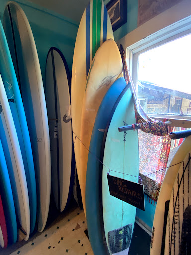 Surf Shop «Northern Light Surf Shop», reviews and photos, 17191 Bodega Hwy, Bodega, CA 94922, USA