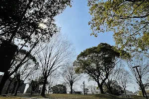 Maetaka Park image