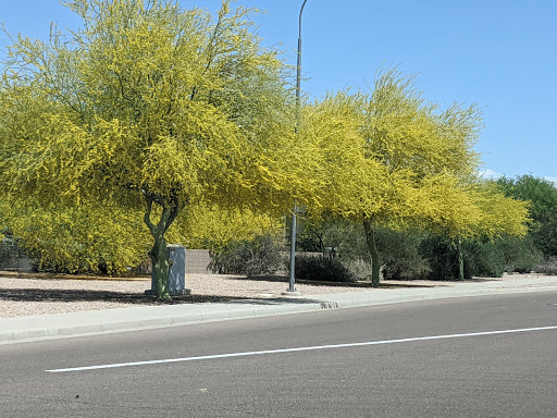 Park «Veterans Oasis Park», reviews and photos, 4050 E Chandler Heights Rd, Chandler, AZ 85249, USA