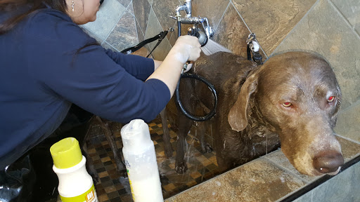 Pet Store «Pet Valu», reviews and photos, 134 S Ridge St, Rye Brook, NY 10573, USA