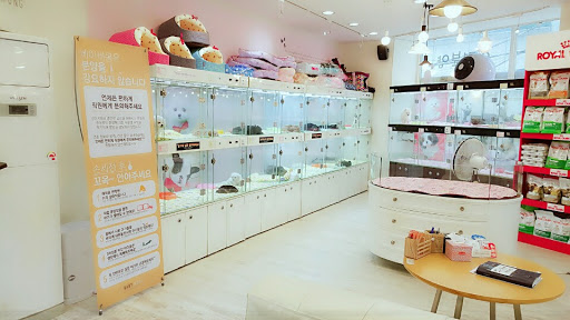 BabyMong HQ Store