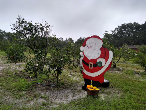 Farm «Butrico Groves Orange Grove», reviews and photos, 6065 Magnolia St, Mims, FL 32754, USA
