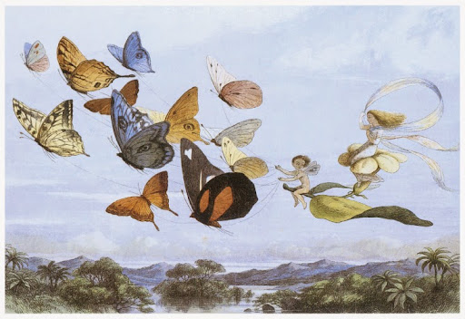 Coffee Shop «Cafe Brosseau», reviews and photos, 2716 N 21st St, Tacoma, WA 98406, USA