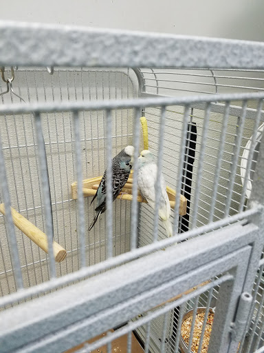 Pet Supply Store «Pet Club Elk Grove», reviews and photos, 8515 Bond Rd, Elk Grove, CA 95624, USA