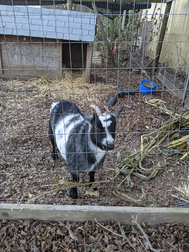 Produce Market «Highland Orchards Farm Market», reviews and photos, 1431 Foulk Rd, Wilmington, DE 19803, USA