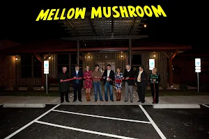 Mellow Mushroom Bristol image