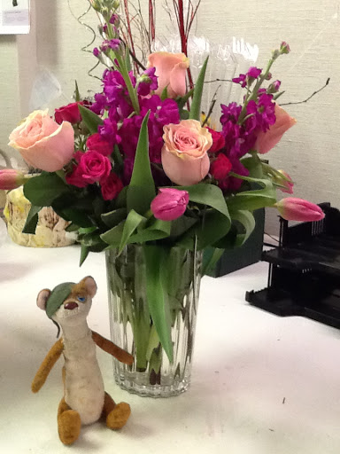 Florist «A Daisy A Day», reviews and photos, 749 Silas Creek Pkwy, Winston-Salem, NC 27127, USA