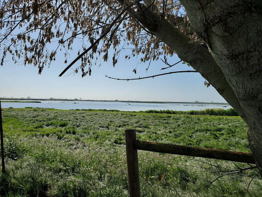 Nature Preserve «Woodbridge Ecological Reserve», reviews and photos, 7730 W Woodbridge Rd, Lodi, CA 95242, USA