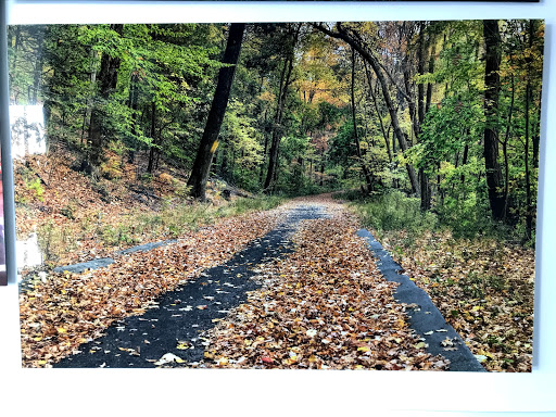 Photo Lab «Art Plex Photo / Alex Kay gallery», reviews and photos, 245 NE 183rd St, North Miami Beach, FL 33179, USA