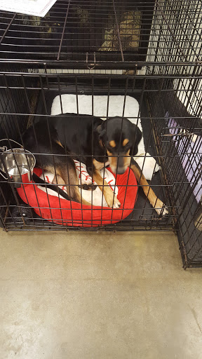 Pet Supply Store «PetSmart», reviews and photos, 380 S State Rd 434, Altamonte Springs, FL 32714, USA