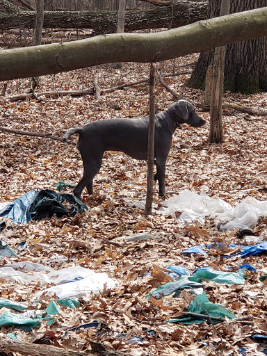 Park «Central City Park», reviews and photos, 36601 Ford Rd, Westland, MI 48185, USA