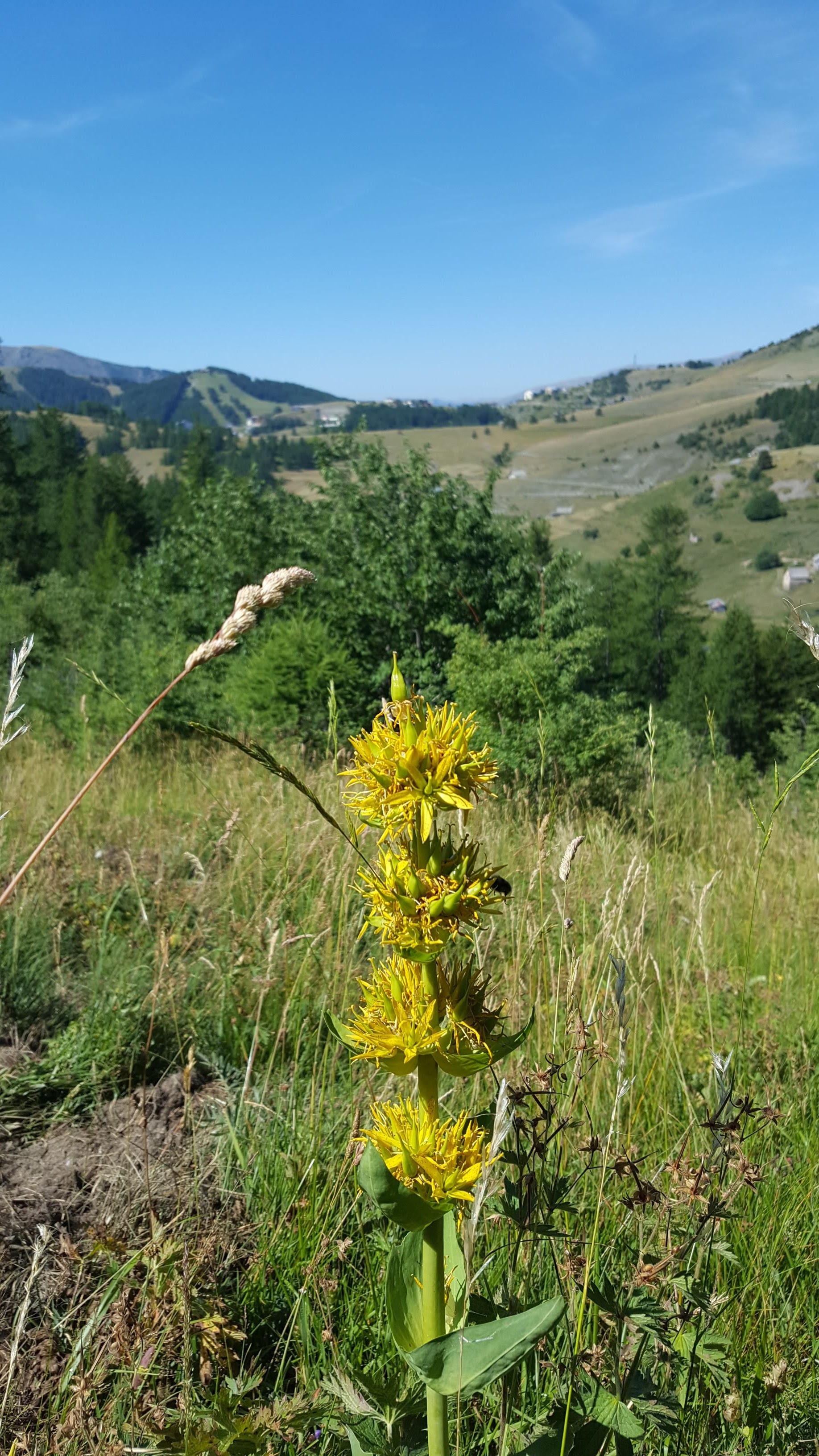 Photo n° 7 de l'avis de xav373. fait le 12/08/2019 à 11:27