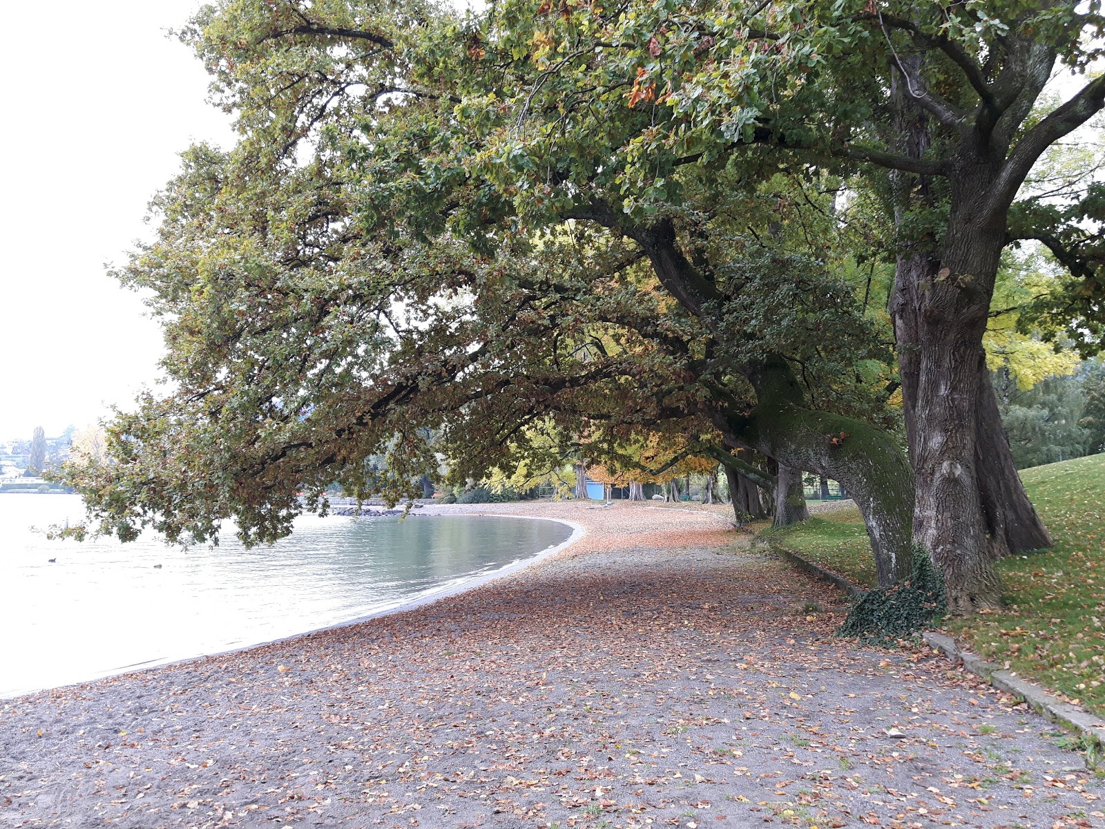 Foto von Strandbad Tribschen Lucerne und die siedlung