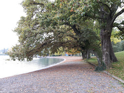 Foto von Strandbad Tribschen Lucerne und die siedlung