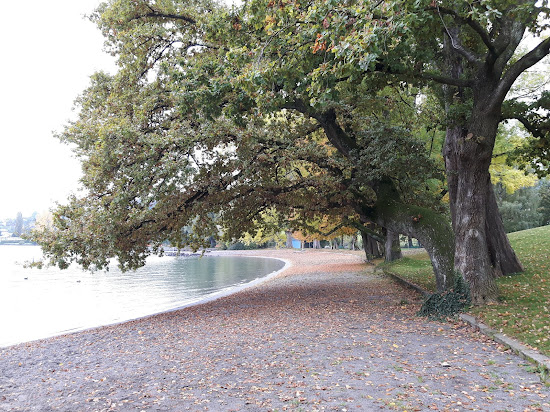 Strandbad Tribschen Lucerne