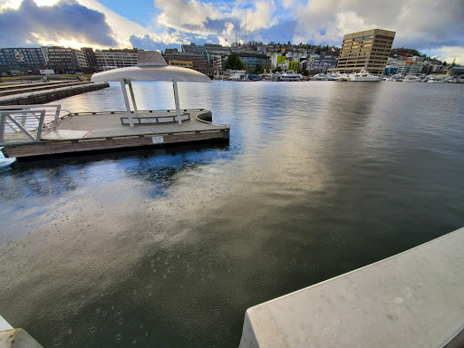 Park «Lake Union Park», reviews and photos, 860 Terry Ave N, Seattle, WA 98109, USA