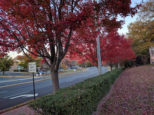 Shopping Mall «Courthouse Plaza Shopping Center», reviews and photos, 10382 Willard Way, Fairfax, VA 22030, USA