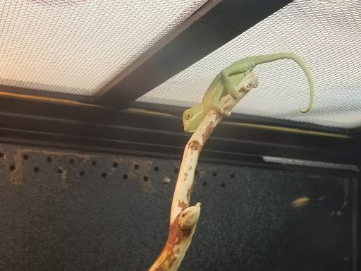 Pet Supply Store «PetSmart», reviews and photos, 1116 S Rochester Rd, Rochester Hills, MI 48307, USA