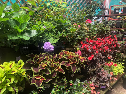 Hardware Store «Goodman Building Sply Co», reviews and photos, 775 Redwood Hwy, Mill Valley, CA 94941, USA