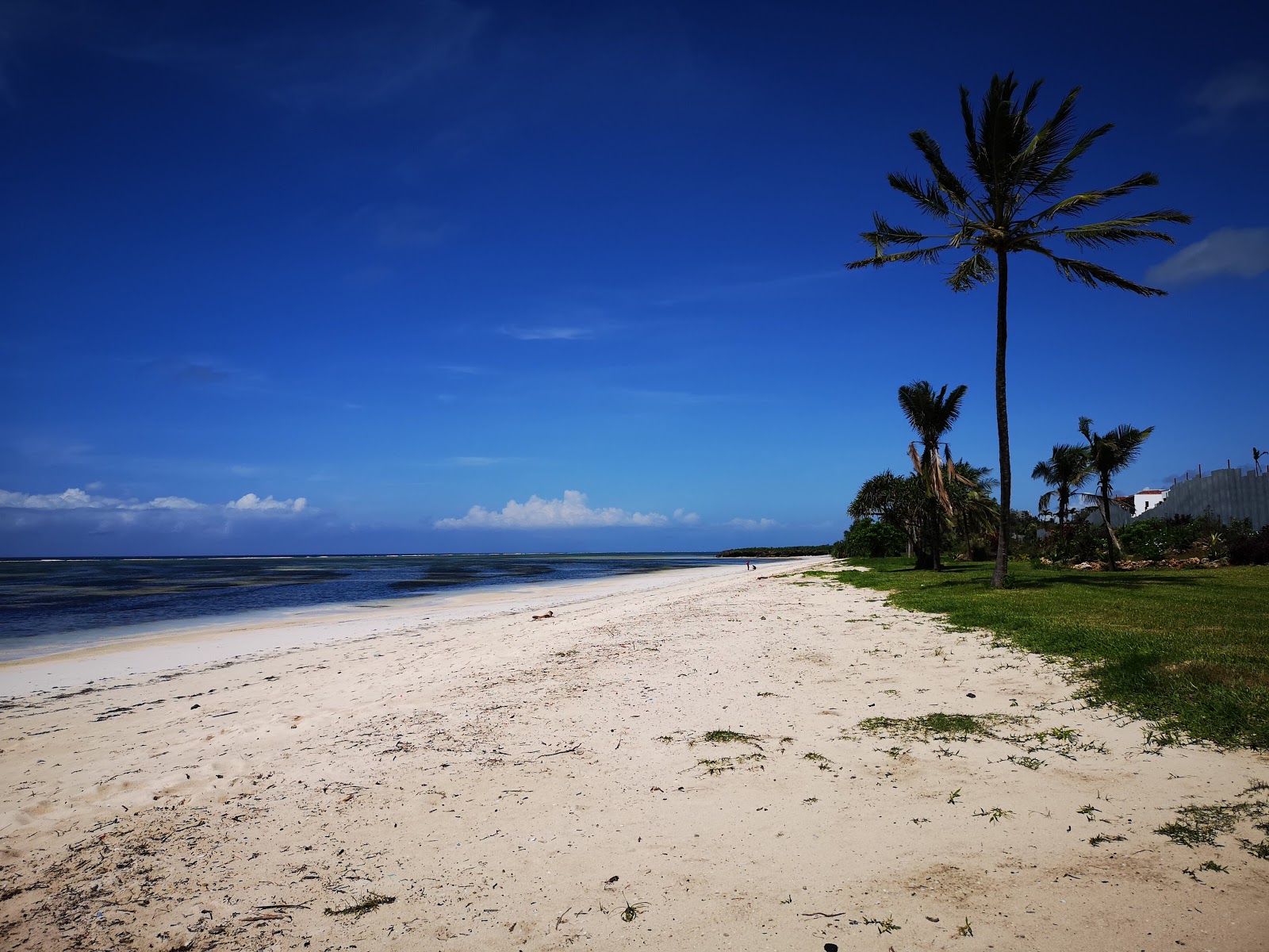 Kikambala beach photo #8