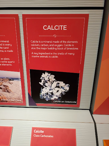 Science Museum «Cook Museum of Natural Science», reviews and photos, 133 4th Ave NE, Decatur, AL 35601, USA