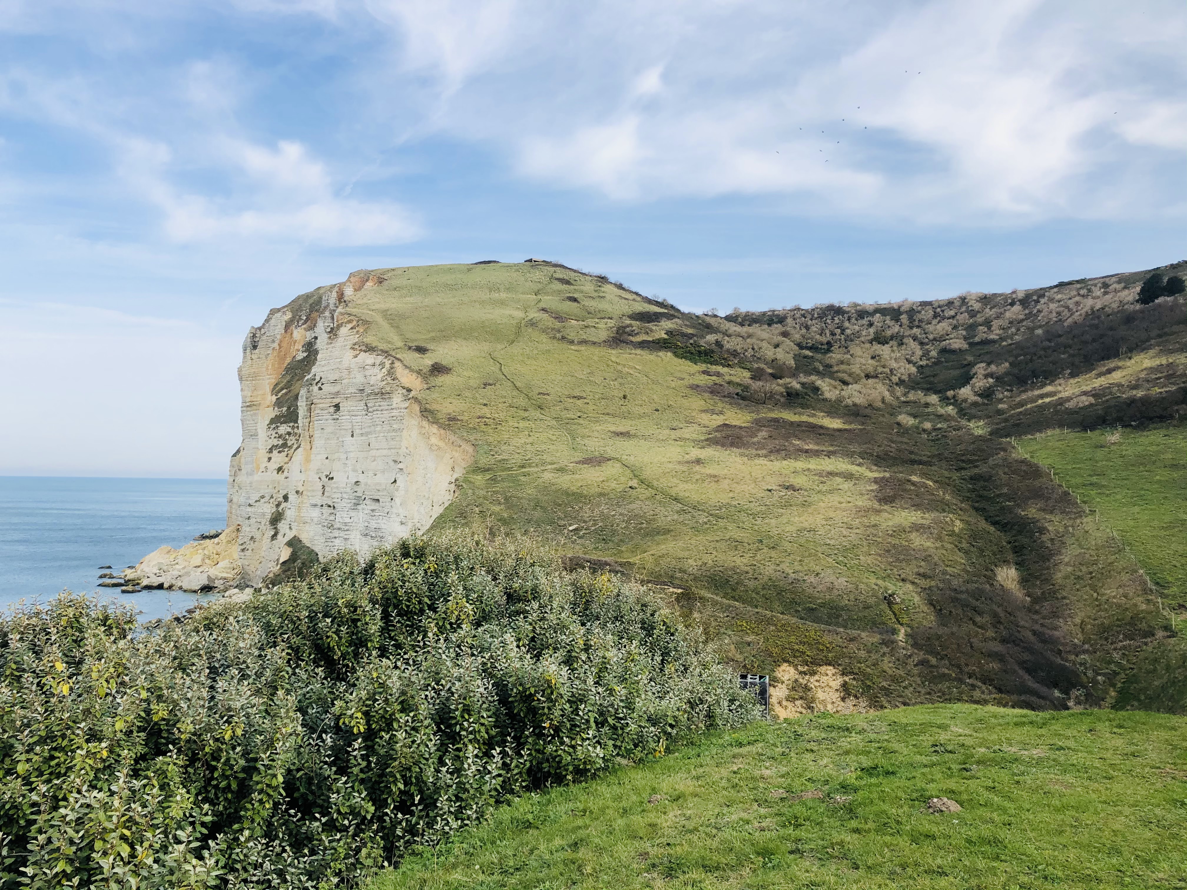 Photo n° 11 de l'avis de Sergiu.u fait le 20/10/2020 à 15:04