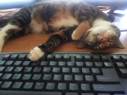 Computer Repair Service «SmarTekz», reviews and photos, 12995 S Cleveland Ave #212, Fort Myers, FL 33907, USA