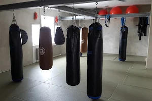 Kampfsportschule Bushido image