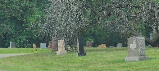 Florist «Thrifty Florist», reviews and photos, 26989 Woodward Ave, Huntington Woods, MI 48070, USA