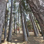 Photo n°5 de l'avis de Giovanni.o fait le 23/07/2021 à 16:31 sur le  Hotel Meranda à Camigliatello Silano