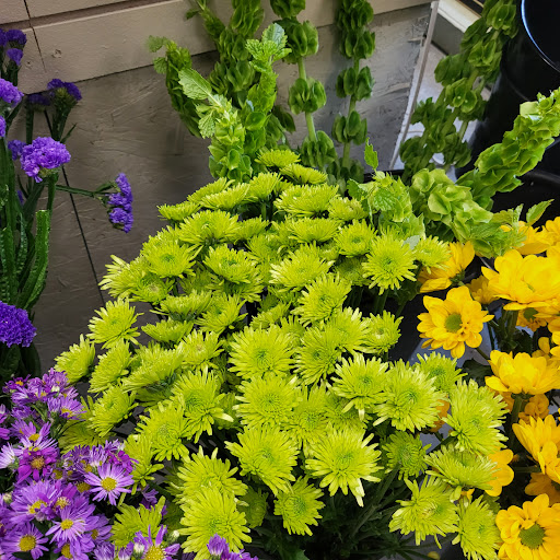 Florist «Olander Florist Inc», reviews and photos, 3433 W 159th St, Markham, IL 60428, USA