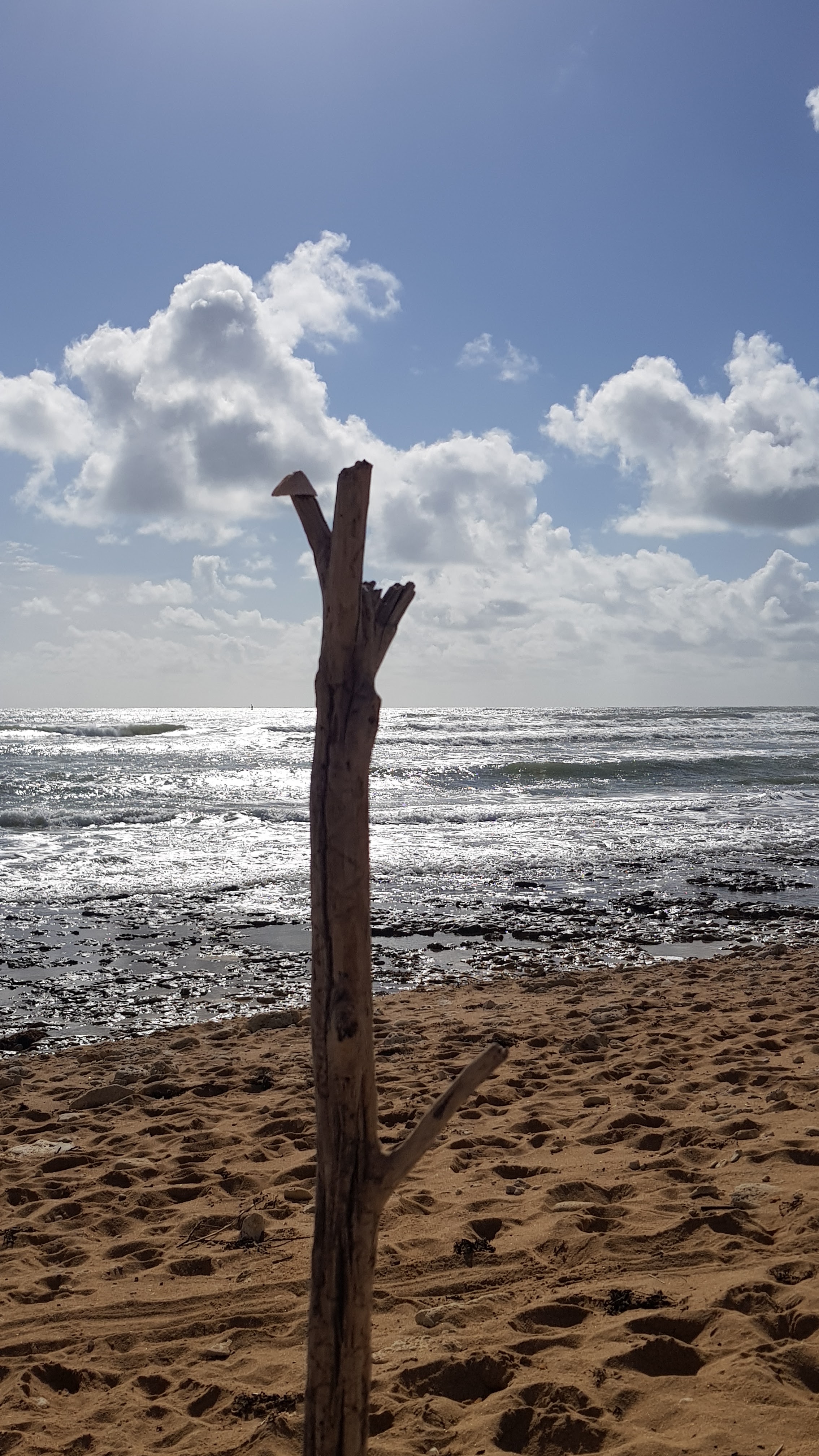 Photo n° 2 de l'avis de babeth.O fait le 14/05/2021 à 13:43