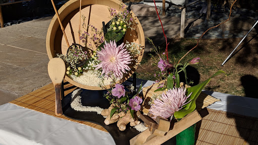 Park «Margaret T. Hance Park», reviews and photos, 67 W Culver St, Phoenix, AZ 85003, USA