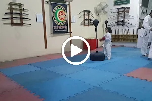 Nadeem Martial Arts Academy. image