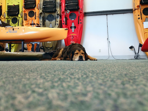 Outdoor Sports Store «Wild River Outfitters Inc», reviews and photos, 3636 Virginia Beach Blvd #108, Virginia Beach, VA 23452, USA