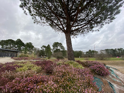 Parc de loisirs Colette Besson à Martignas-sur-Jalle
