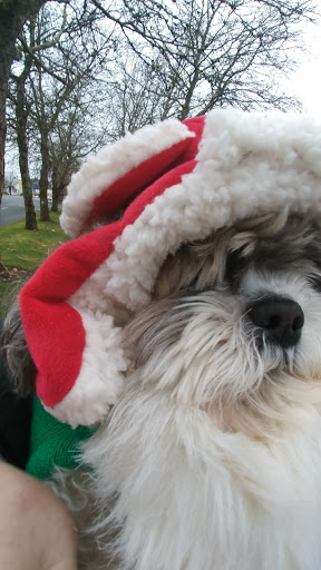 Fabric Store «Jo-Ann Fabrics and Crafts», reviews and photos, 2725 Harrison Ave NW Ste 500, Olympia, WA 98502, USA