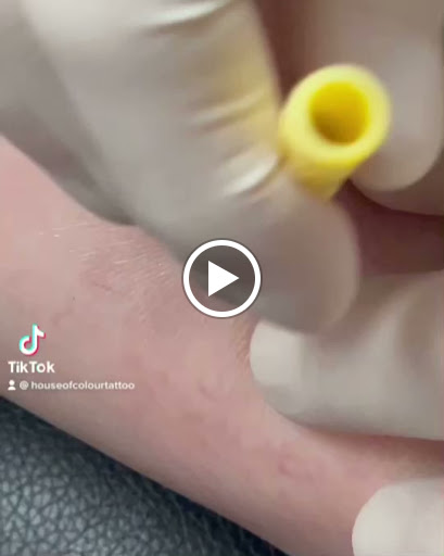 Explore tattoo ideas name, creative tattoo ideas in Bay Shore, available at Piercings By Dean 95