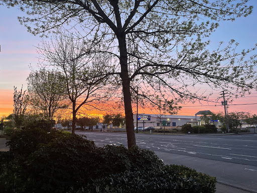 132 S 32nd St, Springfield, OR 97478, USA