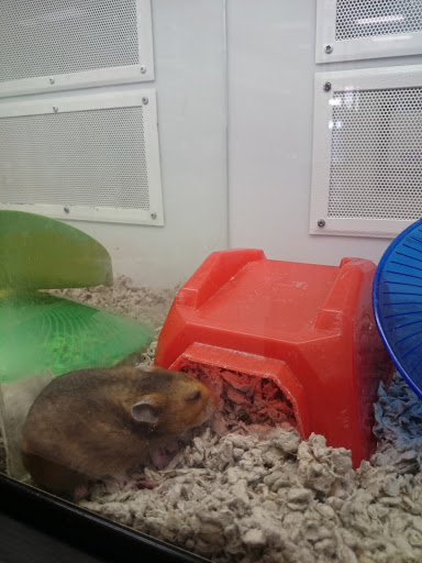 Pet Supply Store «Petco Animal Supplies», reviews and photos, 1425 N Montebello Blvd, Montebello, CA 90640, USA