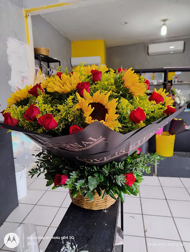 Verbena flores y eventos