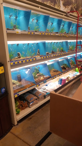 Pet Supply Store «PetSmart», reviews and photos, 525 Connecticut Ave, Norwalk, CT 06854, USA