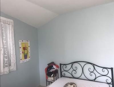 Mag peinture à Saint-Jean-d'Angély