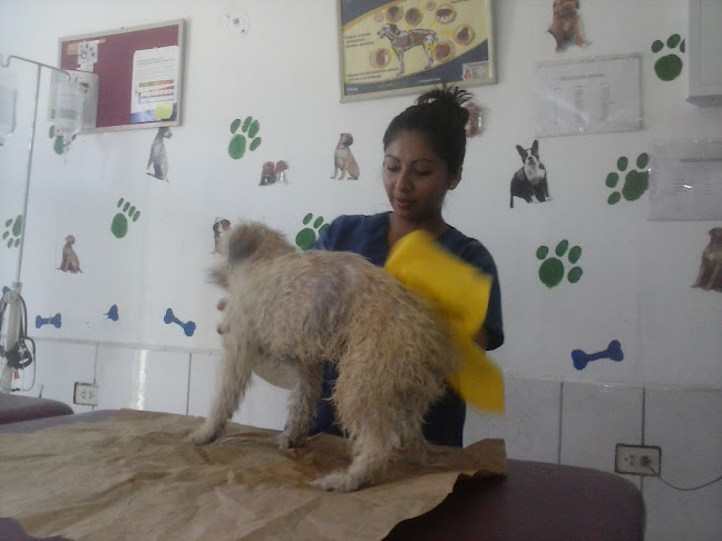 Opiniones de veterinaria Gerson en Piura - Veterinario