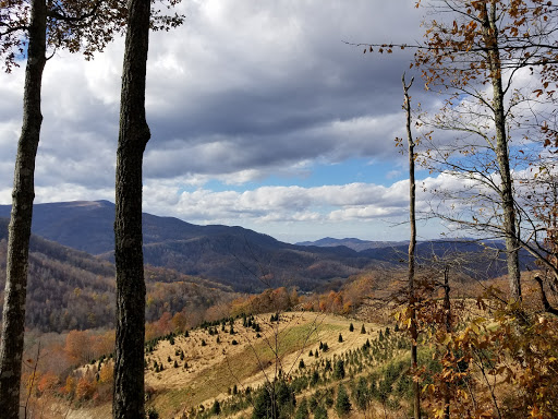 Golf Course «Mountain Glen Golf Club», reviews and photos, 1 Club house Dr, Newland, NC 28657, USA