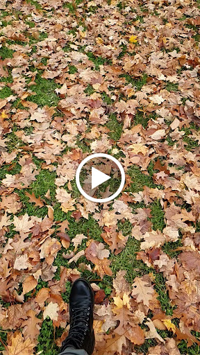 University «Rochester Institute of Technology», reviews and photos