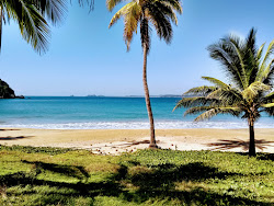 Playa El Tamarindo'in fotoğrafı - rahatlamayı sevenler arasında popüler bir yer