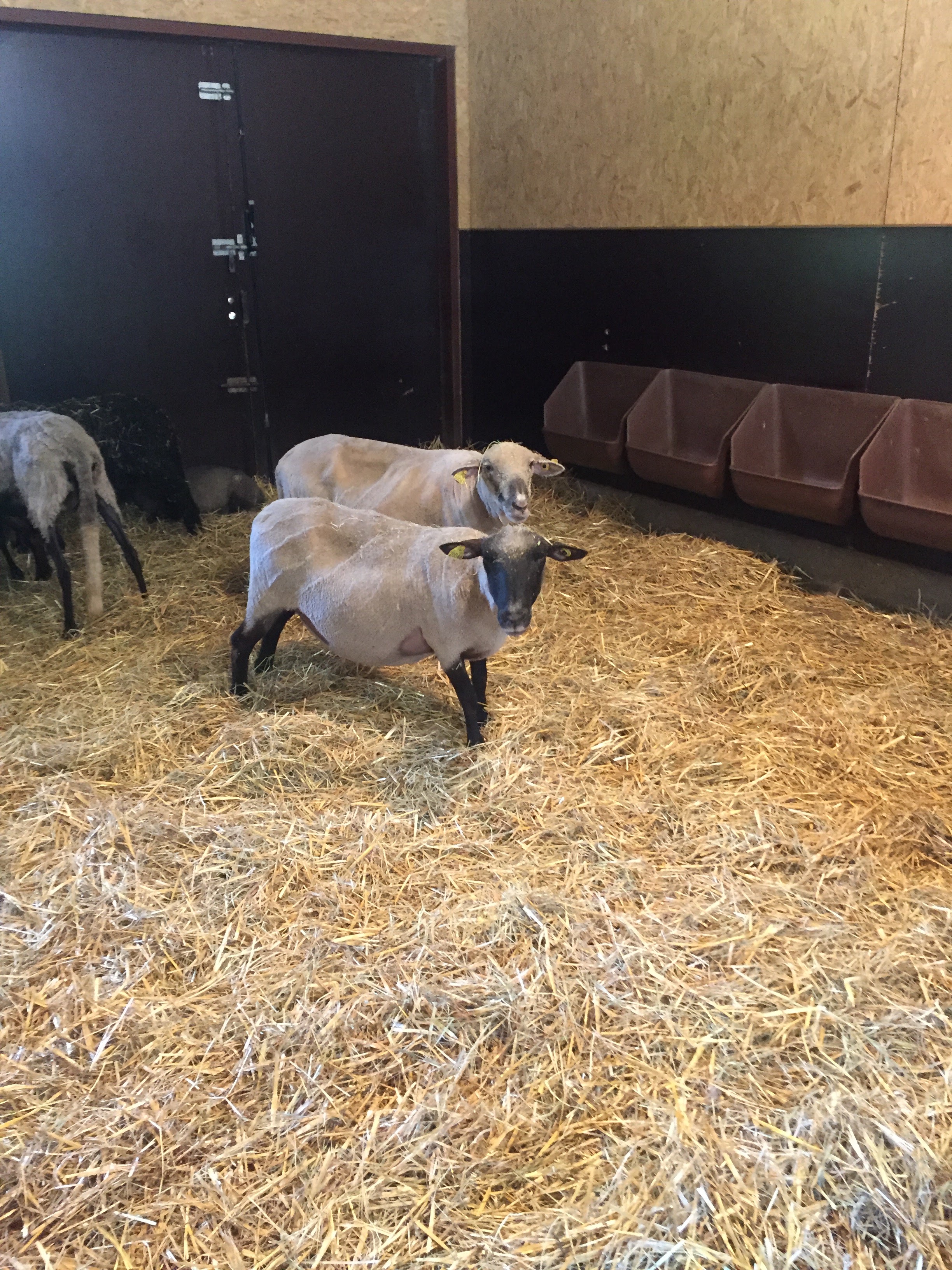 Photo n° 24 de l'avis de lou.o fait le 21/04/2018 à 14:21