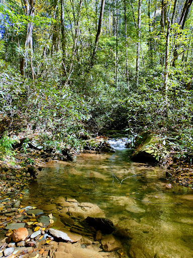 Bear Creek